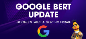BERT Search Algorithm Update